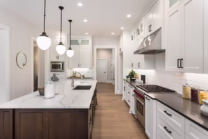 modern luxury kitchen