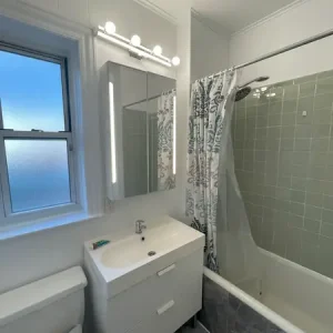 Bathroom Mold Removal Service in Brooklyn